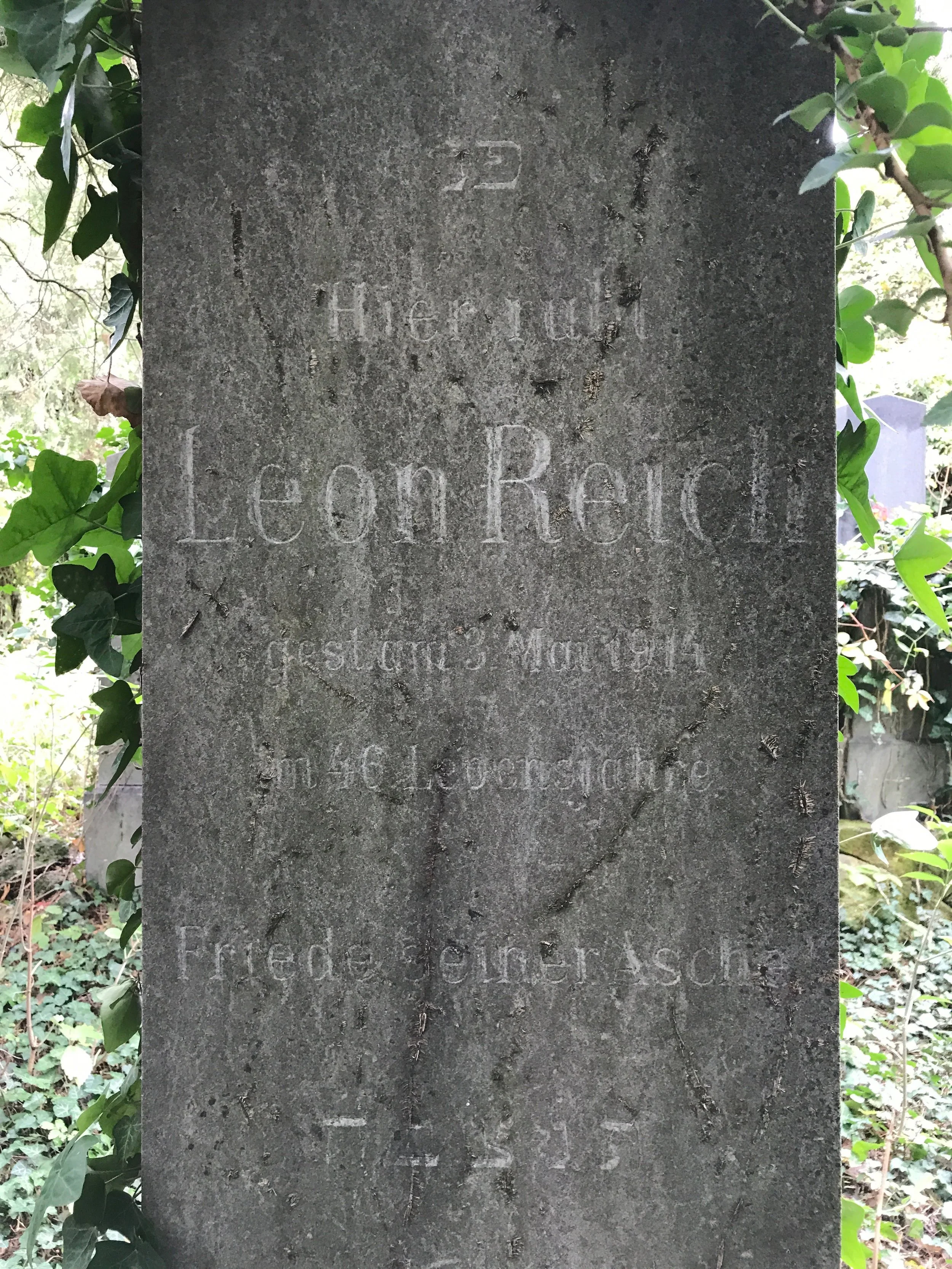 Lápide de Leon Reich no Cemitério Central de Viena